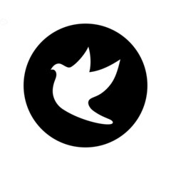 Bird wing Dove icon Template vector illustration design 