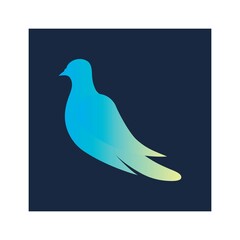 Bird wing Dove icon Template vector illustration design 