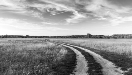 Dirt road. Black and white rural landscape.