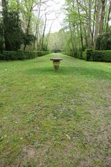Fototapeta premium Allée et perspective dans un parc de château