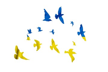 Fototapeta premium Peace for world. Yellow-blue bird.