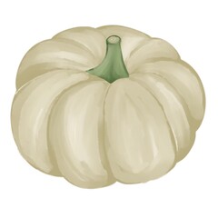 pumpkin isolated on white background