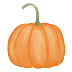 Foto op Plexiglas pumpkin isolated on white background © Kathy 