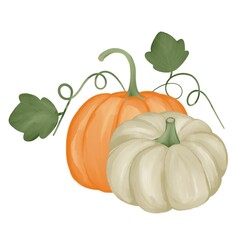 pumpkin with leaves