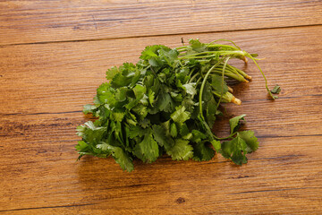Fresh green Coriander leaves heap
