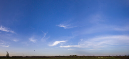 Panorama of blue sky with feathery clouds