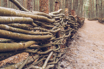 A fence made of woven branches tcreating an environmentally sustainable wall with the forest path in the background stock photography