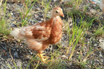 産まれて1か月なんですよ