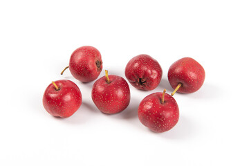 Ripe Hawthorn Berries isolated on white background.