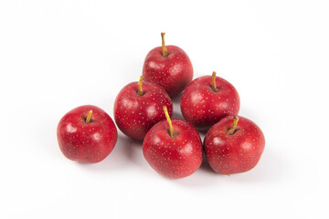 Ripe Hawthorn Berries isolated on white background.
