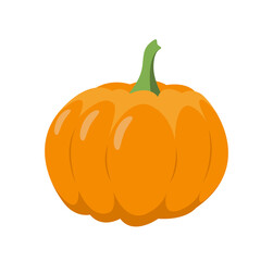 Pumpkin. Orange pumpkin, fall, Halloween. Flat, vector