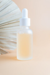 Frosted glass cosmetic bottle with pipette, product packaging with dry tropical leaf, anti aging serum with peptides, cosmetics mockup, spa concept.
