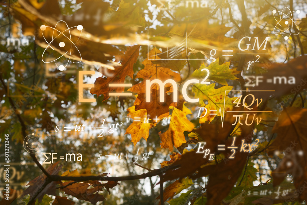 Canvas Prints math and physics equations with autumn leaves in the background. physics education concept.