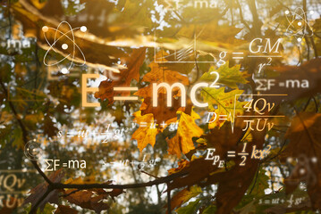 Math and physics equations with autumn leaves in the background. physics education concept.