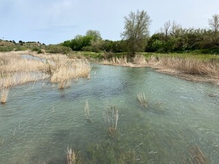 Scenic view of Turia river full of water