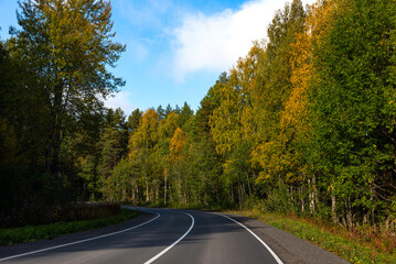 Empty asphalt road through the trees in autumn. Asphalt road with beautiful trees on sides in autumn. 