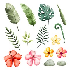 Set of Tropical plant leaves and flowers 