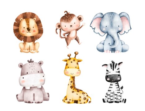 Set of Safari Animals Illustration 