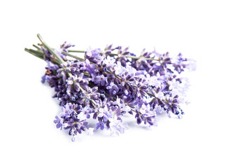 Lavender flowers on white backgrounds