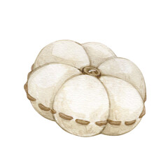 Watercolor illustrations with vintage cotton needle bed isolated on white background. Needlework collection