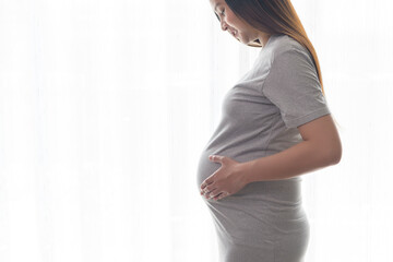 Young beautiful pregnant woman at home, maternity and pregnancy care concept