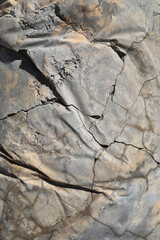 textura de cemento endurecido agrietado 4M0A4664-as22