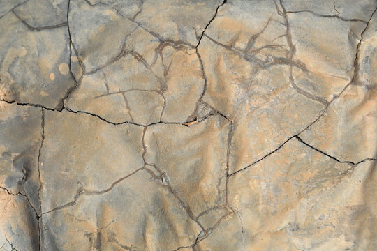 textura de cemento endurecido agrietado 4M0A4665-as22
