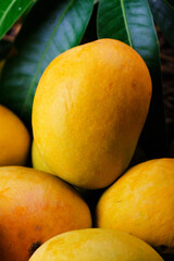 Mango tropical fruit with green leaf, Ripe mango in grass closeup