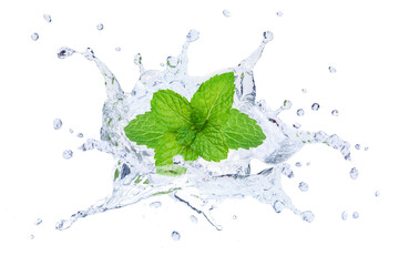 Mint leaf in water splash isolated on white background. © NIKCOA