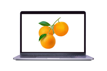 Fresh orange fruit on laptop computer screen isolated on white background. (My image)