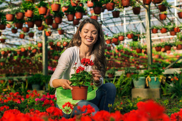 Fototapeta na wymiar A beautiful Caucasian woman works with flowers in a greenhouse. She checks the plants and prepares for the order .