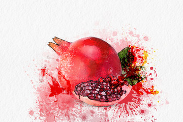 Watercolor painting fresh fruit pomegranate