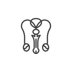 Male reproductive system line icon