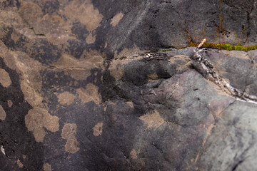 Colorful Rock Layers. Stone texture and background. Abstract of stone. Uneven surface stone. Nature.