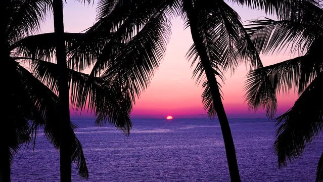 Landscape Tropical beach silhouette of a person with palm trees pink fantastic colorful sky.