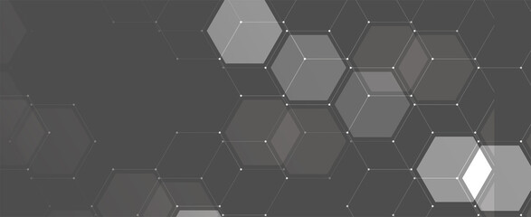 Obraz na płótnie Canvas Abstract hexagon background. Technology poligonal design. Digital futuristic minimalism