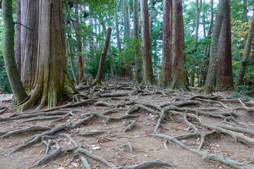 Kurama Temple in Kurama, Kyoto, Japan