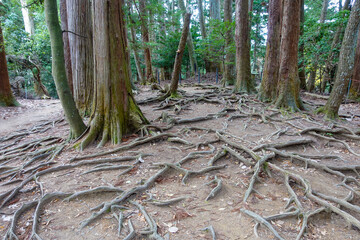 Kurama Temple in Kurama, Kyoto, Japan