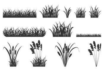 Silhouette of grass with reeds. Set of vector illustrations of black shadows of marsh vegetation for design