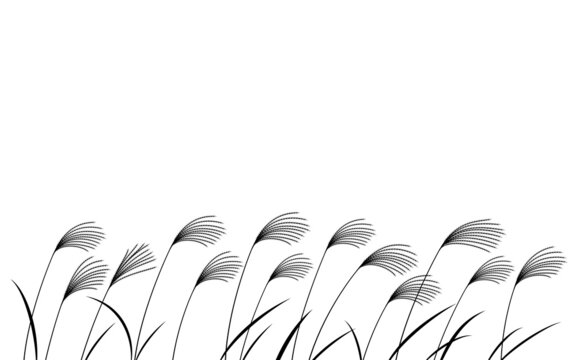 ススキ野原 Images Browse 105 Stock Photos Vectors And Video Adobe Stock