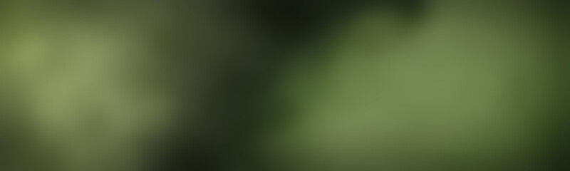 Wide texture for design, blurred background moderate green. Modern abstract illustration colorful shape dark pale green. Blurred backdrop.