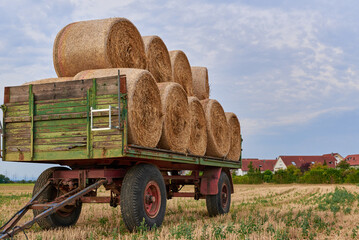 Straw bales on the trailer