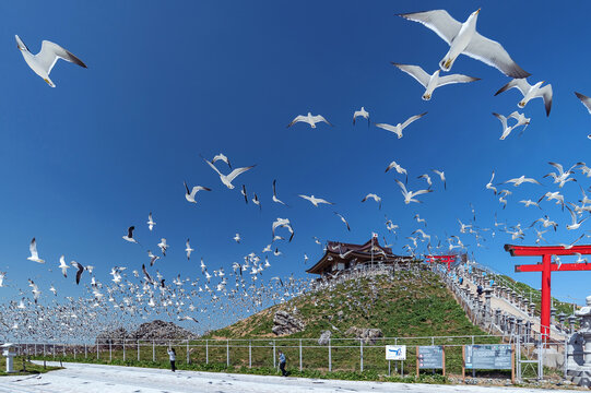 蕪島」の写真素材 | 409件の無料イラスト画像 | Adobe Stock