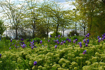 Fototapety na wymiar - Fototapeta24.pl