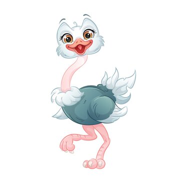 Cute ostrich vector illustration. Cartoon baby animal, white background.