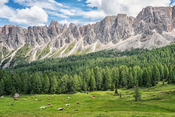 Fototapeta na wymiar Dolomites landscape, a UNESCO world heritage in South-Tyrol, Italy