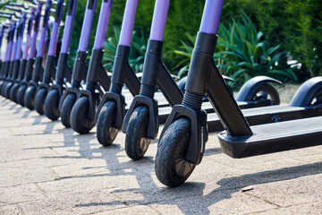 Group of electric rental scooters is parked on the street