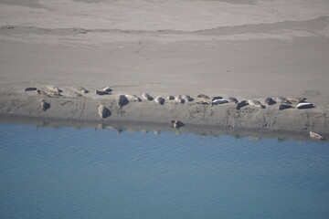 Big South, California, Usa
