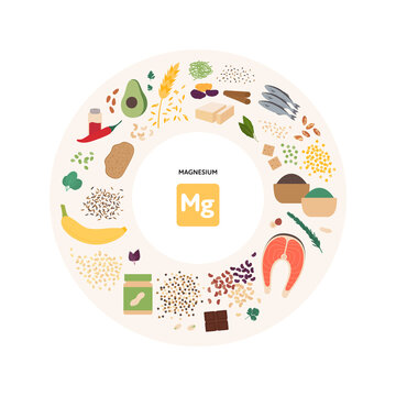 Healthy food micronutrients guide concept. Vector flat illustration. Collection of magnesium product sources. Colorful set of seeds, seafood, vegetables, fruits symbol set.