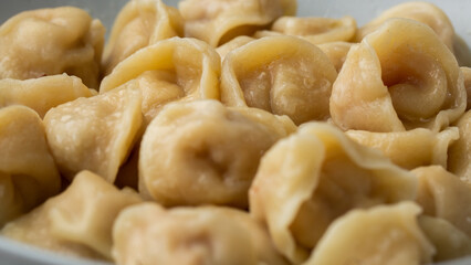 Meat dumplings, homemade russian pelmeni in bowl isolated on bright background with clipping path